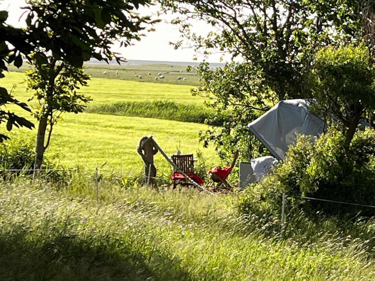 Hof Steinhuetten Schlafstrandkorb Westerhever Esterno foto